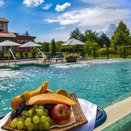 Hotel Forest Hills Zirc Bagian luar foto